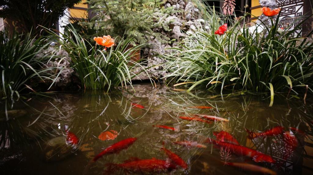 Lijiang Wangjia Courtyard Inn Ngoại thất bức ảnh